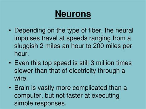 5 Ways Neurons Travel