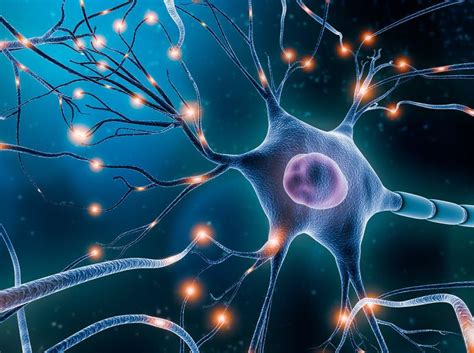 5 neuron travel facts