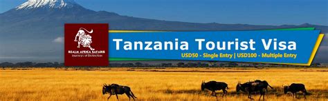 How To Apply For My Tanzania Tourist Visa Realm Africa Safaris