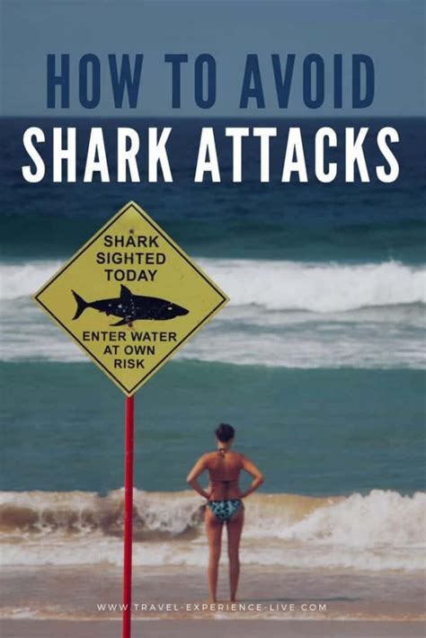 How To Avoid Shark Attacks Shark Safety Tips The National Parks