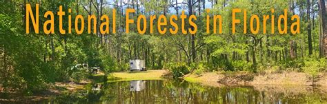 How To Camp Free Or Cheap Florida National Forests Part 5