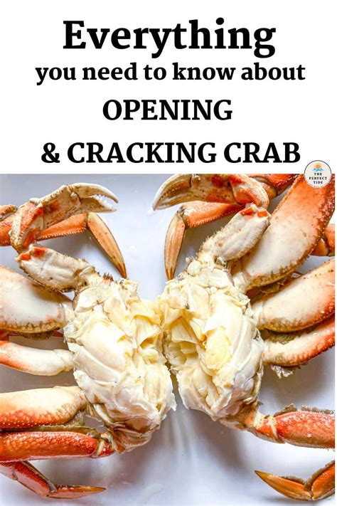 How To Catch Crab A Guide On How To Go Crabbing Crab Crab Bait