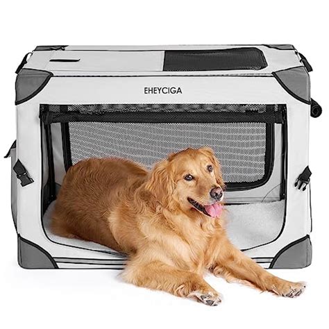 How To Choose The Best Travel Dog Crate Recommended By An Expert