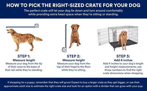 How To Choose The Right Size Dog Cage For Your Pet