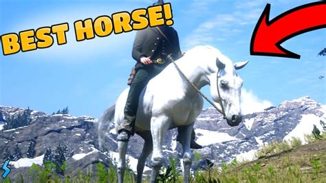 How To Get The Best Horse The Elite Arabian And Other Great Horses