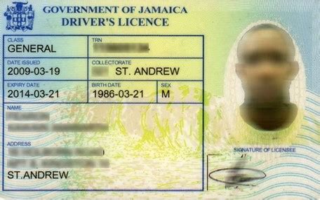 How To Get Your Learners And Driver S Licence In Jamaica 2024 Step By