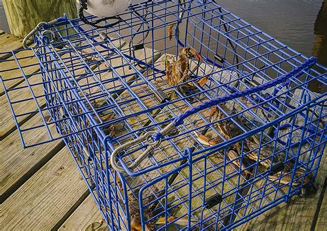 How To Make A Crab Trap At Home Crab Trap Crab Crab Fishing