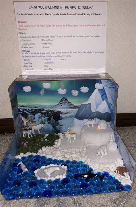 How To Make An Easy 3D Tundra Biome Poster Project