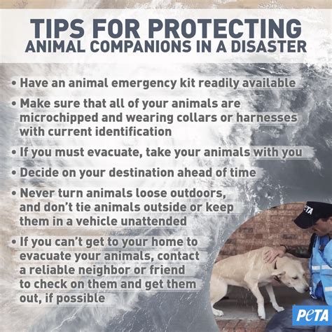 How To Protect Animals Deepcontrol3