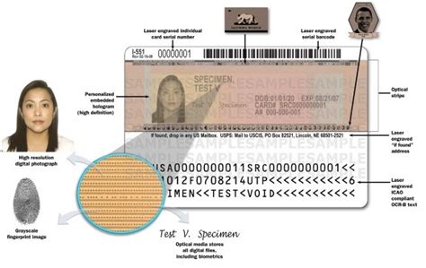 How To Read A Green Card Front And Back Citizenpath