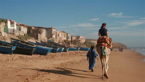 How To Ride A Camel Like A Pro In Morocco Intrepid Travel Blog