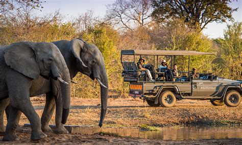 How To Safari With Kids In Africa Top 10 Family Tours Kabura Travel