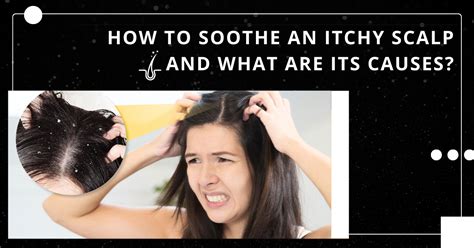 How To Soothe An Itchy Scalp And What Are Its Causes