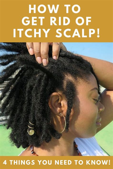 How To Soothe Itchy Scalp Without Damaging Your Roots Curlynugrowth