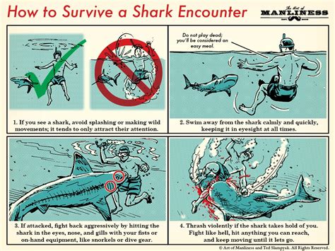 How To Survive A Shark Attack Essentials For Survival Survival Life