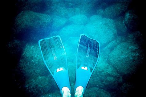 How To Use Snorkeling Fins Snorkeling Site