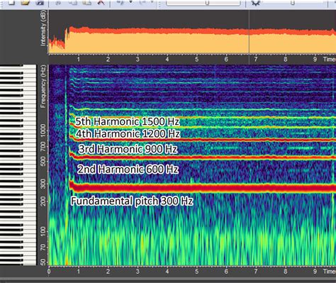 How We Make Sound Voice Science Works