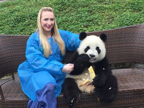 Hug A Giant Panda Panda Hug In Chengdu Dujiagniyan Wolong