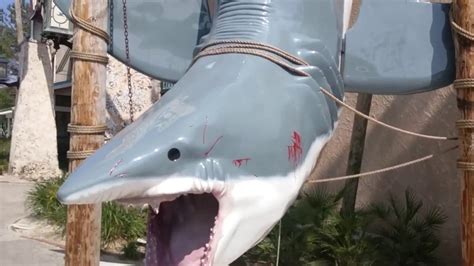 Huge Great White Shark In Destin Florida Hd Youtube