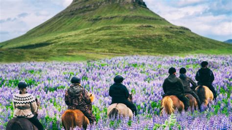 Iceland Tour Packages Holidays 2023 2024 Tripfez Travel