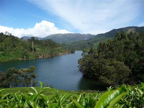 Idukki Dam Best Tourist Destinations Incredible India Kerala