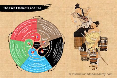 Important Questions About The Five Elements And Tea International Tea