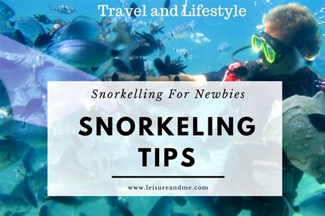 Important Snorkeling Tips For Newbies Leisure And Me