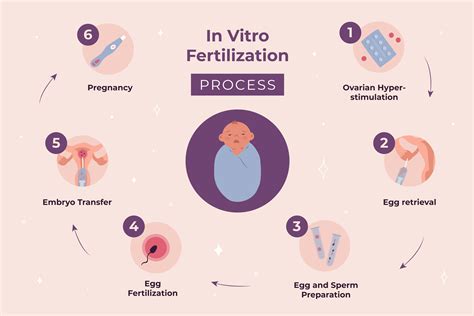 In Vitro Fertilisation Ivf Procedure How It Works