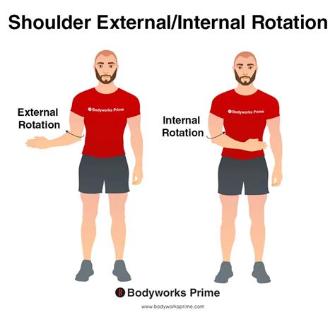 Internal And External Rotation