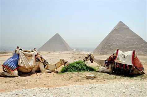 7 Tips Egypt Safe