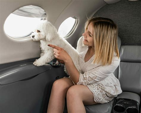 Travelling with Pets on International Flights