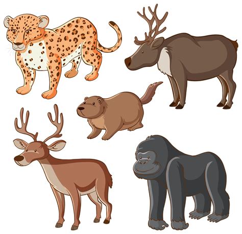 Isolated Picture Of Five Wild Animals 1235272 Vector Art At Vecteezy