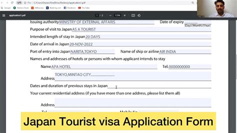 5 Japan Visa Tips