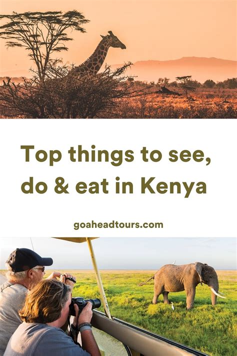 Kenya Travel Guide