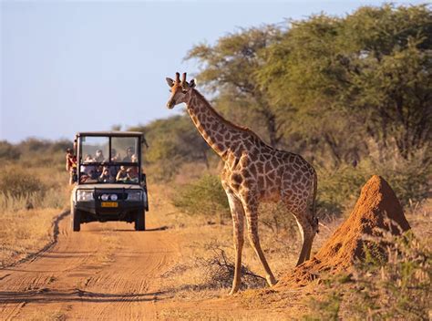 Kenya Travel Guides Outlook Travel Magazine