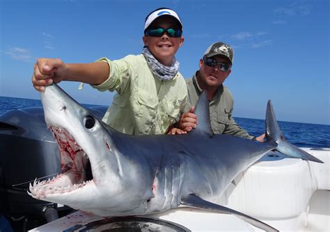 Key West Shark Fishing All In Key West Fishing Charters