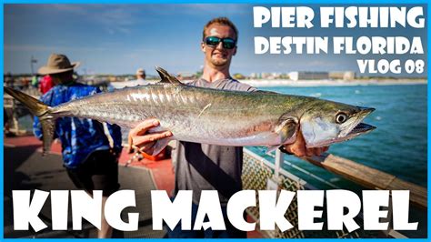 King Mackerel Destin Florida Pier Fishing Youtube