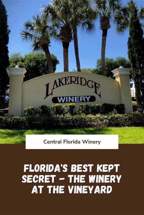 Lakeridge Winery Florida The Best Of Florida S Wineries Winery