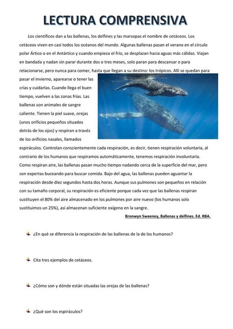 Las Ballenas Exercise English Class Class English