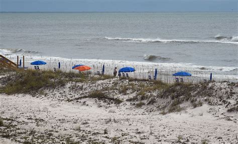 Latest Beach Conditions Gulf Shores Orange Beach Destin Panama City