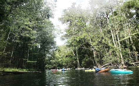 Lazy River Fun In North Florida Discovering The Best Natural Springs