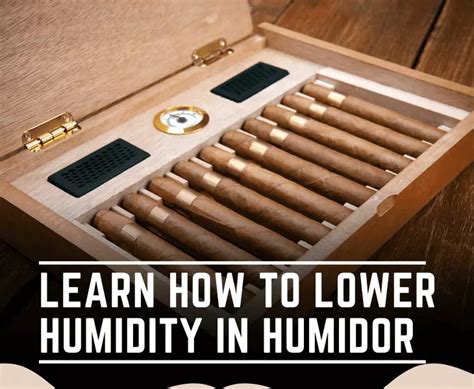 Learn How To Lower Humidity In Humidor Best Ways