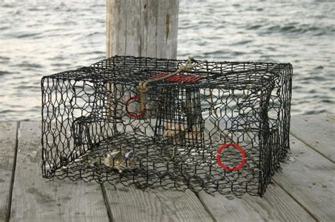 Learn How To Use A Crab Trap And How To Make A Crab Trap Crabtrap