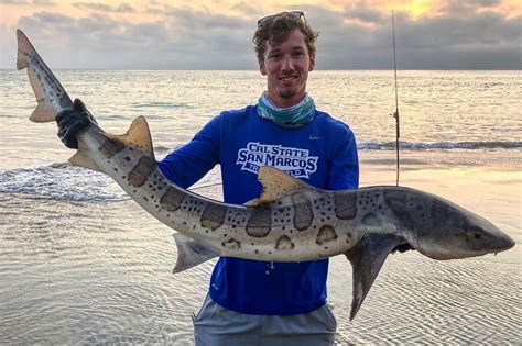 Leopard Shark Fishing Surf Fishing The Coast Of Southern California