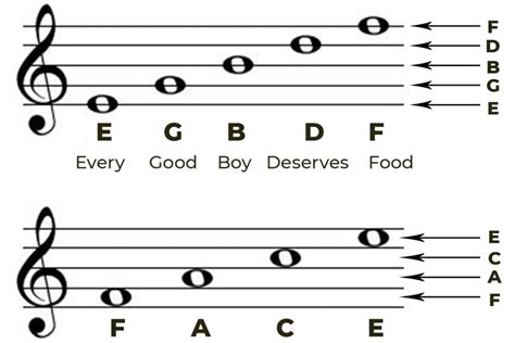 Lesson 1 Staff Names Of Notes Treble Clef Music Basics Music