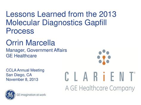 Lessons Learned From The 2013 Molecular Diagnostics Gapfill Process