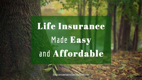 Life Insurance Made Easy And Affordable Boomer Amp Echo