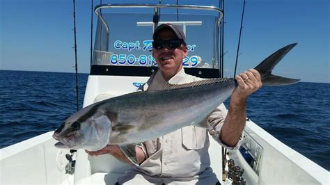 Light Tackle Offshore Fishing In Panama City Fl