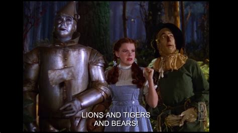 Lions And Tigers And Bears Oh My Youtube