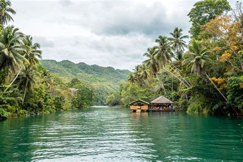 Loboc River Things To Do Guides And Attractions Vacationhive